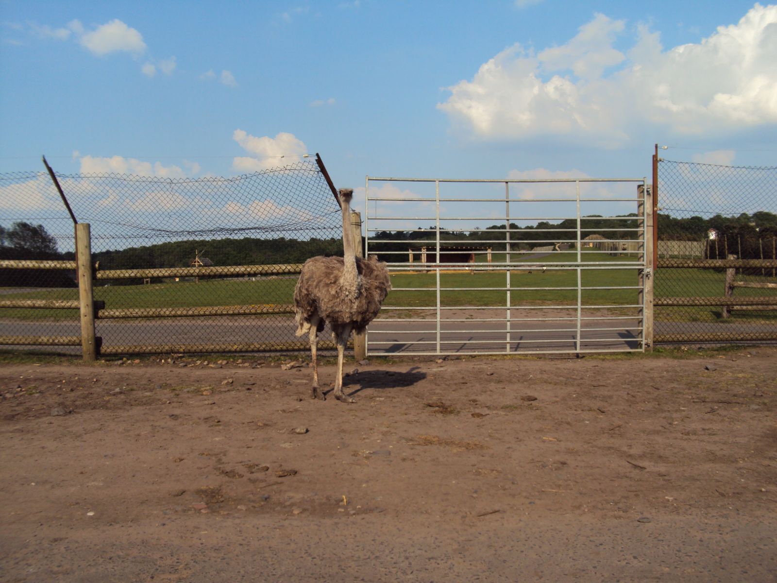 West Midland Safari Park